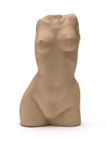 Hennie Potgieter; Nude Torso