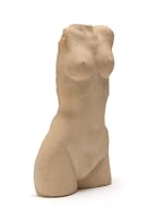 Hennie Potgieter; Nude Torso