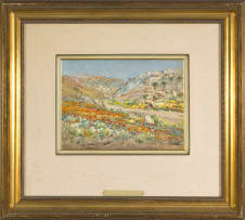 Hugo Naudé; Wild Flowers, Namaqualand