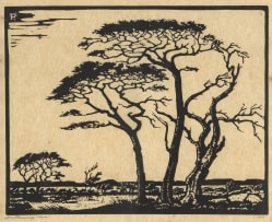Jacob Hendrik Pierneef; Kameeldorings, Springbokvlakte (Camelthorns, Sprinkbok Plains) (Nilant 95)