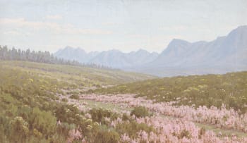 Jan Ernst Abraham Volschenk; A Heathery Valley (near Garcias Pass, Riversdale)
