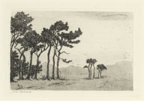 Nita Spilhaus; Pine Trees, two