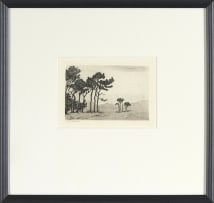 Nita Spilhaus; Pine Trees, two