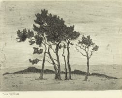 Nita Spilhaus; Pine Trees, two