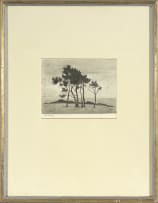 Nita Spilhaus; Pine Trees, two