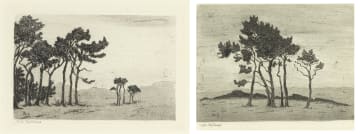 Nita Spilhaus; Pine Trees, two