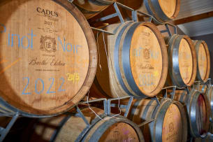 Bartho Eksteen Wine Estate; Vloekskoot Sauvignon Blanc – Wooded; 2021; 12 (2 x 6); 750ml