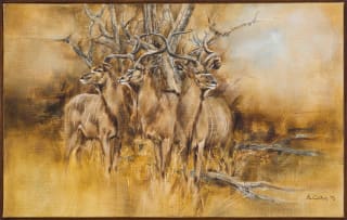Vic Guhrs; Trio of Kudu Bulls