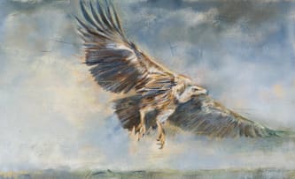 Vic Guhrs; Vulture, Eagle, two