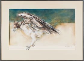 Vic Guhrs; Vulture, Eagle, two