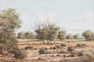 Francois Badenhorst; Bushveld