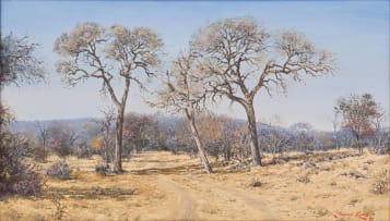 Johann Koch; Bushveld Landscape