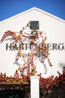 Hartenberg Wine Estate; CWG Amphora Merlot; 2020; 24 (4 x 6); 750ml