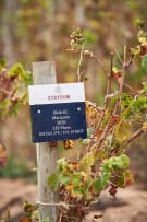 Strydom Family Wines; The Game Changer Cabernet Franc - Merlot; 2017; 12 (2 x 6); 750ml