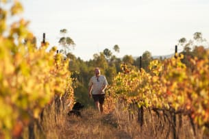 Luddite; Oupa Mourvèdre; 2019; 36 (6 x 6); 750ml