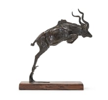 Arend Eloff; Leaping Kudu