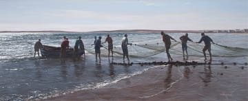 Paddy Starling; Bringing in the Nets, Paternoster