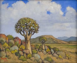 Conrad Theys; Quiver Trees, Kokerbome