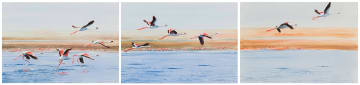 Dylan Lewis; Flamingos in Flight, three
