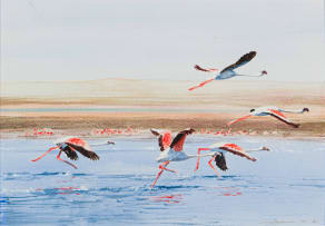 Dylan Lewis; Flamingos in Flight, three