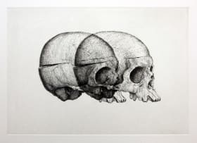 Gerhard Marx; Binocular Skull II