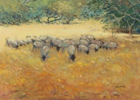 Walter Westbrook; Sheep Grazing