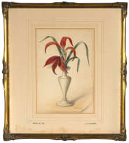 Jan Ernst Abraham Volschenk; Maltese Lily in a Vase