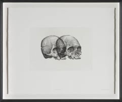 Gerhard Marx; Binocular Skull I
