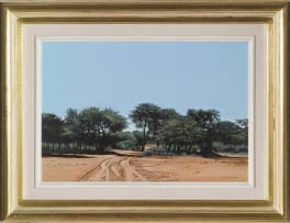 John Meyer; Bushveld Road