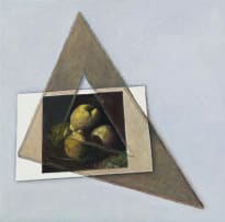 Andries Gouws; Triangle on Zubarán Quinces