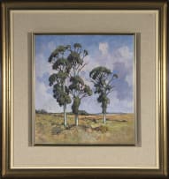 Conrad Theys; Drie Bloekombome Swartland (Three Eucalyptus Trees Swartland)