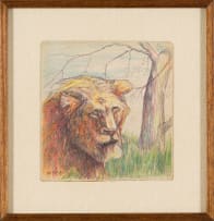 Moses Tladi; Head of a Lion