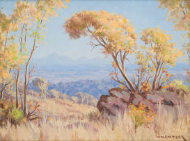 Willem Hermanus Coetzer; Bushveld Landscape, North West