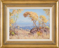 Willem Hermanus Coetzer; Bushveld Landscape, North West