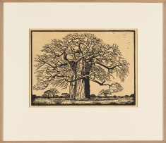 Jacob Hendrik Pierneef; Kremetartboom (Nilant 73)