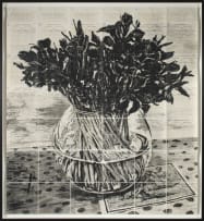 William Kentridge; Irises, Royal Observatory, Cape of Good Hope