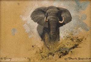 David Shepherd; Elephant