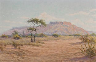 Johannes Blatt; Okosongomingo, Waterberg