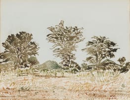 Adolph Jentsch; Trees in a Namibian Landscape