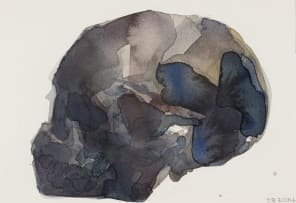 Joni Brenner; Skull