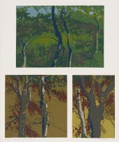 Alice Goldin; By the Roadside I; II; III, Road to Arniston Series; Summer to Autumn, four
