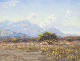 Johannes Blatt; Sunlit South West African Landscape Savannah Plains