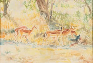 Zakkie Eloff; Herd of Impala