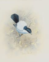 Graeme Arnott; Bird