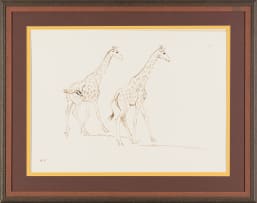 Zakkie Eloff; Two Giraffes