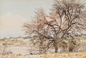 Adolph Jentsch; Landscape with Trees, South West Africa