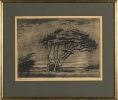 Jacob Hendrik Pierneef; Study of a Tree