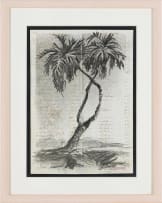 William Kentridge; Palm Trees
