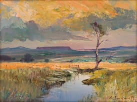 Christopher Tugwell; Evening Sunlight