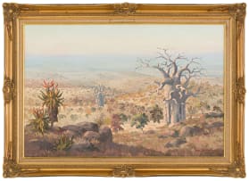 Pierre Volschenk; Aloes and Baobab Trees in a Landscape